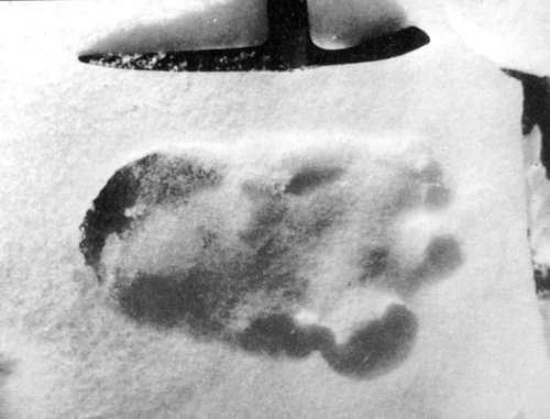 100 великих тайн - i_022.jpg