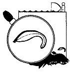 Школа выживания. Как избежать голодной смерти - i_134.jpg