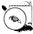 Школа выживания. Как избежать голодной смерти - i_136.jpg