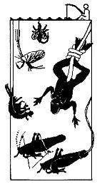 Школа выживания. Как избежать голодной смерти - i_139.jpg