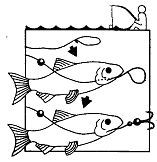 Школа выживания. Как избежать голодной смерти - i_141.jpg