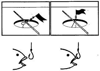 Школа выживания. Как избежать голодной смерти - i_194.jpg