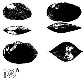 Школа выживания. Как избежать голодной смерти - i_299.jpg