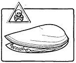Школа выживания. Как избежать голодной смерти - i_307.jpg