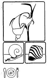 Школа выживания. Как избежать голодной смерти - i_308.jpg