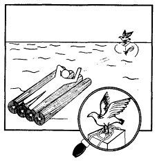 Школа выживания. Как избежать голодной смерти - i_368.jpg