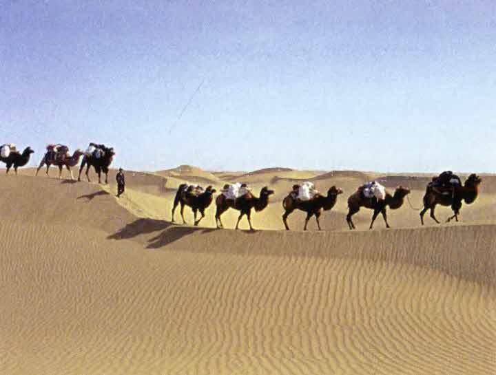 Следы в пустыне. Открытия в Центральной Азии - i_062.jpg