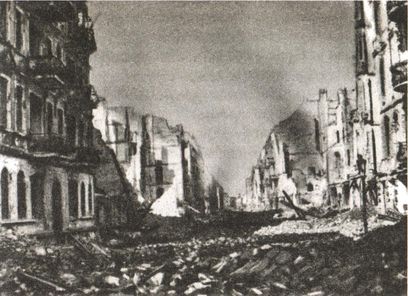 Последняя крепость Рейха - i_044.jpg