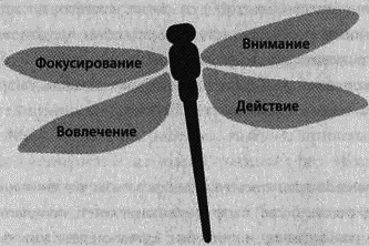 Эффект стрекозы : Все об улетных промо-кампаниях в социальных сетях - i_008.png