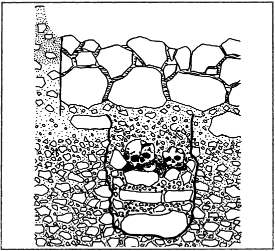 За пещерным человеком - i_017.png