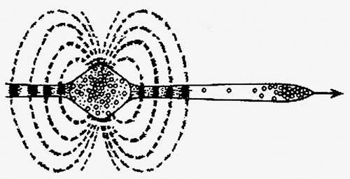 Сенсационная история Земли - _165.jpg