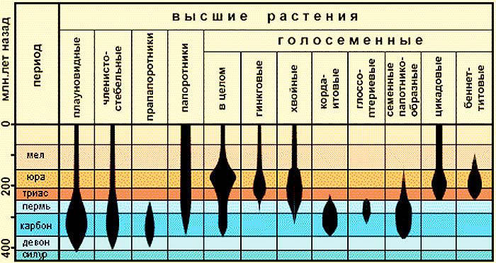 Сенсационная история Земли - _96.jpg