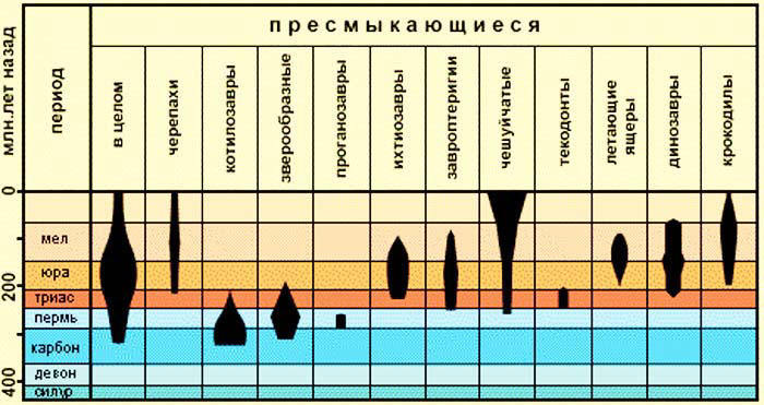 Сенсационная история Земли - _98.jpg