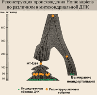 Обитаемый остров Земля - i_159.png