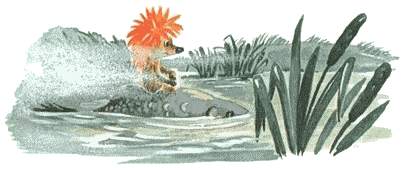 Всё-всё-всё о Ёжике - i_003.png