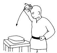 Цигун "Железная ладонь". Практическое руководство - _117.jpg