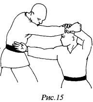 Цигун "Железная ладонь". Практическое руководство - _173.jpg