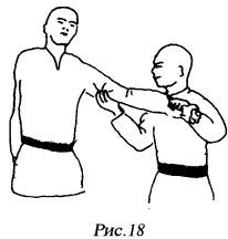 Цигун "Железная ладонь". Практическое руководство - _176.jpg