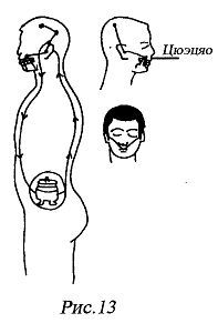 Цигун "Железная ладонь". Практическое руководство - _61.jpg