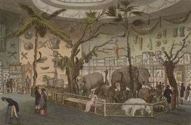 Где таятся змеи - _.jpg_0