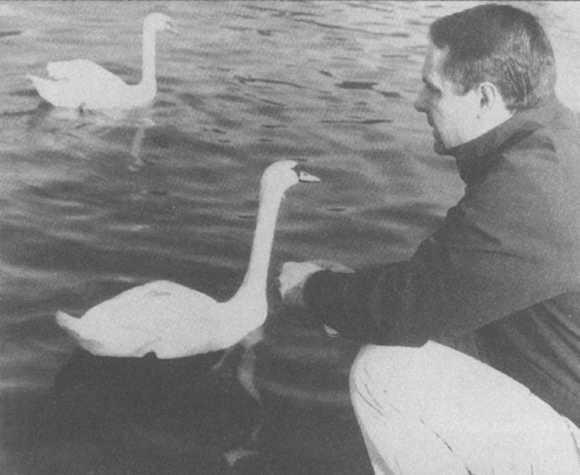 Влюбленный - img_33.jpeg