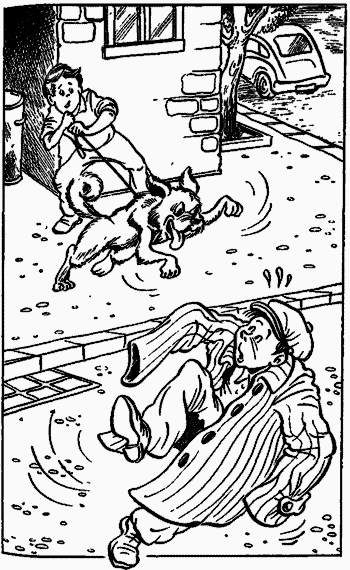 Невероятные истории. Авторский сборник - i_020.png