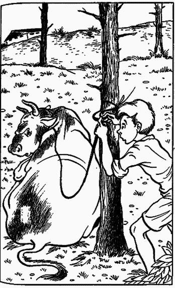 Невероятные истории. Авторский сборник - i_028.png