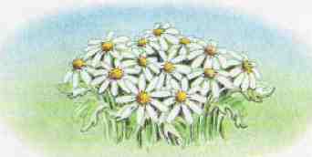 Счастливая звезда Хомы и Суслика - i_009.jpg