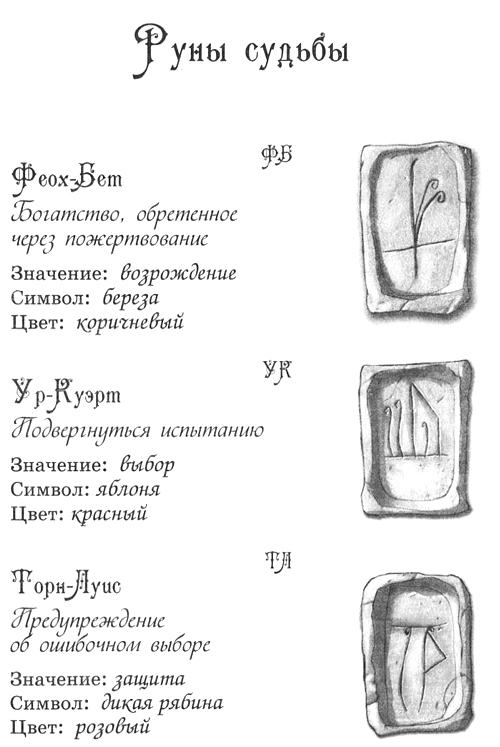 Джено и белая руна золотого сокола - i_004.jpg