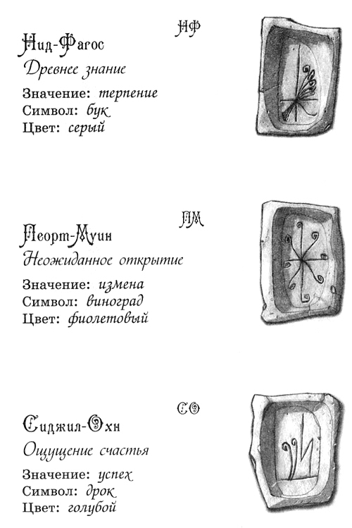 Джено и белая руна золотого сокола - i_008.jpg