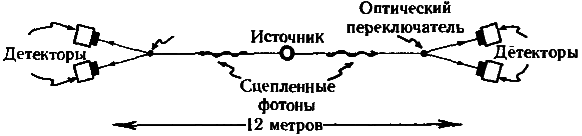 Тени разума. В поисках науки о сознании - _35.png