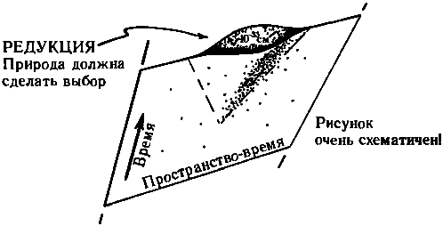 Тени разума. В поисках науки о сознании - _70.png