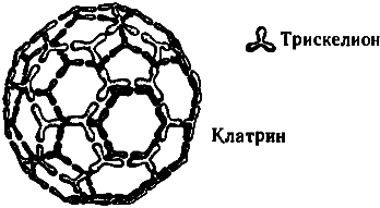 Тени разума. В поисках науки о сознании - _83.png