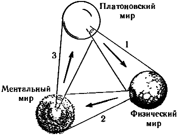 Тени разума. В поисках науки о сознании - _90.png