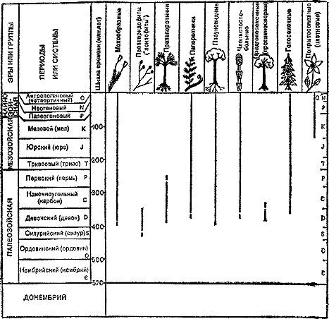 Следы трав индейских - i_002.jpg