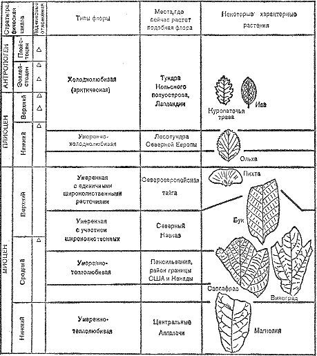 Следы трав индейских - i_026.jpg