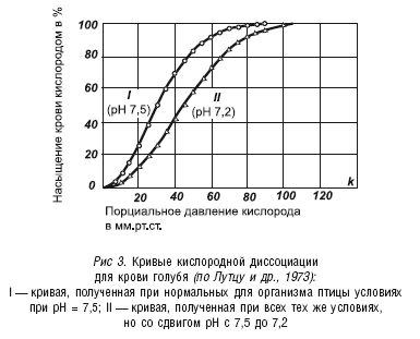 Как продлить быстротечную жизнь - i_003.png