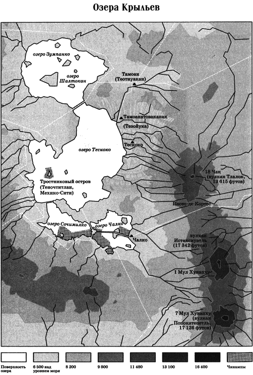 Хранитель солнца, или Ритуалы Апокалипсиса - i_069.png