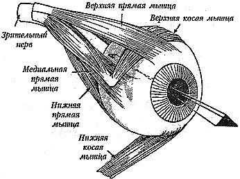 Улучшите ваше зрение - _01.jpg