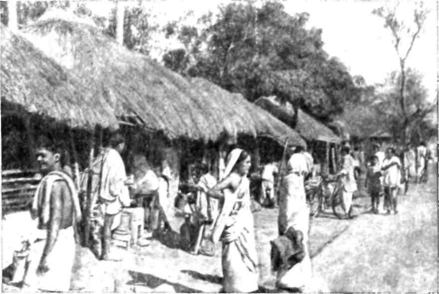 В Индии - img_4.jpeg