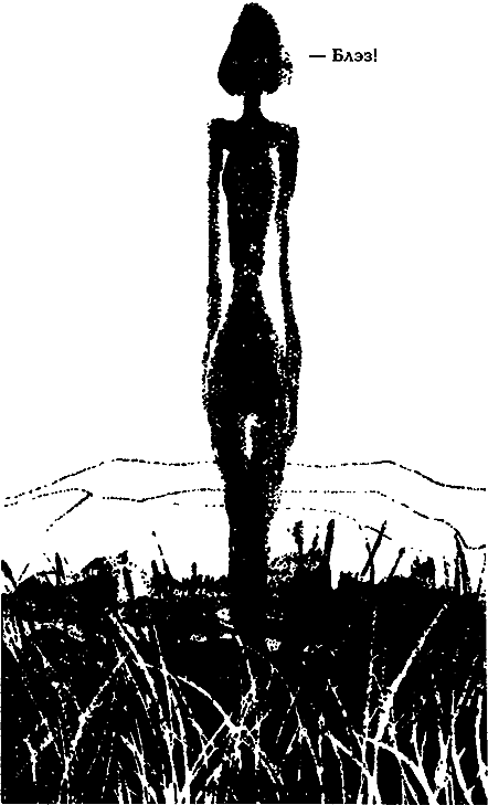 Миры Альфреда Бестера. Том 3 - i_055.png