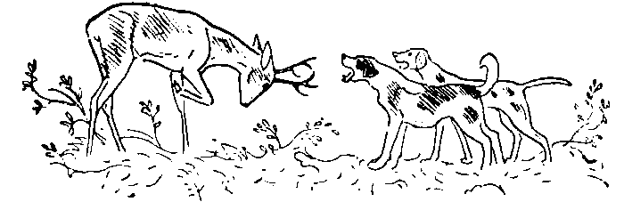 Окаменевшие волки - i_020.png