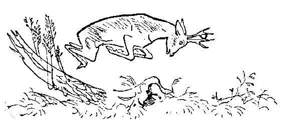 Окаменевшие волки - i_029.png