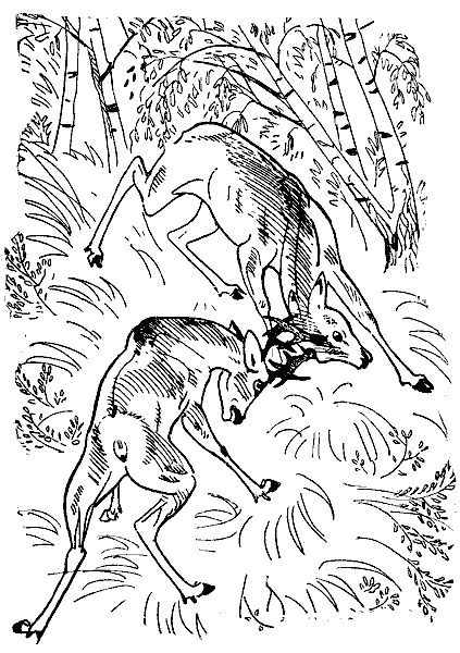 Окаменевшие волки - i_030.png