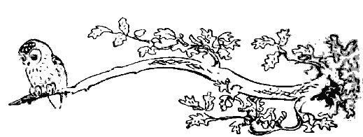 Окаменевшие волки - i_037.png