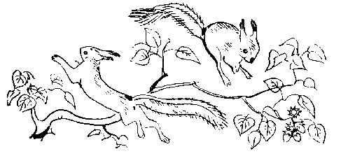 Окаменевшие волки - i_038.png