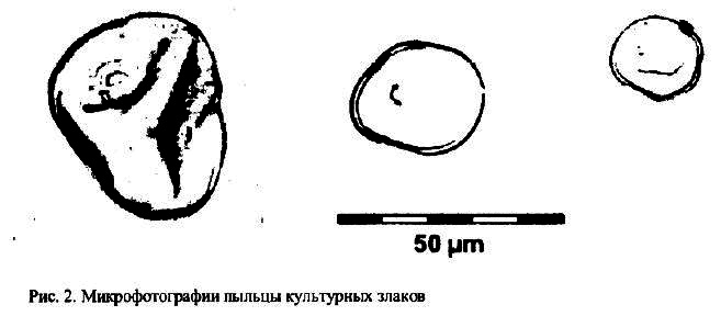 Археология и естественнонаучные методы. Сб. статей - i_117.png