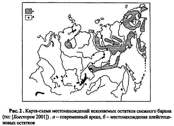 Новейшие археозоологические исследования в России: К столетию со дня рождения В.И. Цалкина - i_071.png