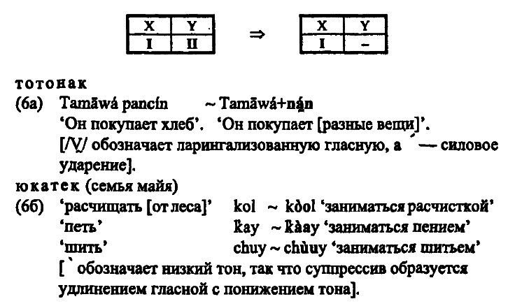 40 лет Санкт-Петербургской типологической школе - i_048.png