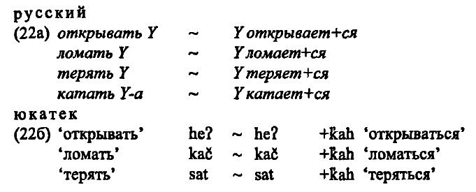 40 лет Санкт-Петербургской типологической школе - i_066.png